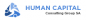 Human Capital Synergies logo